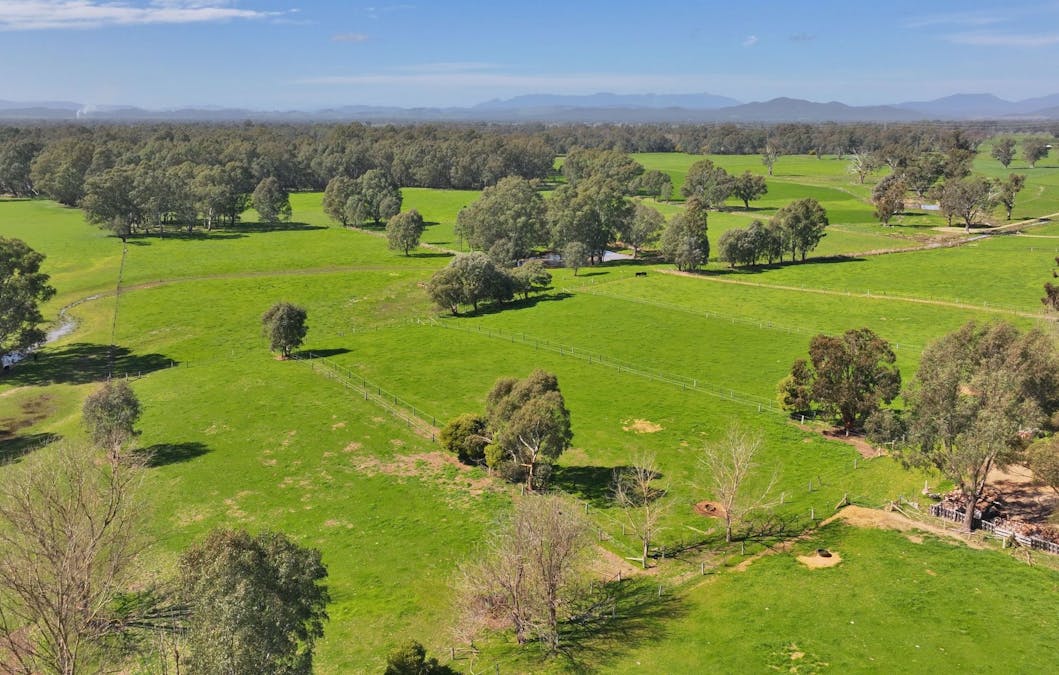 1613 Wangaratta Whitfield Road, Docker, VIC, 3678 - Image 11