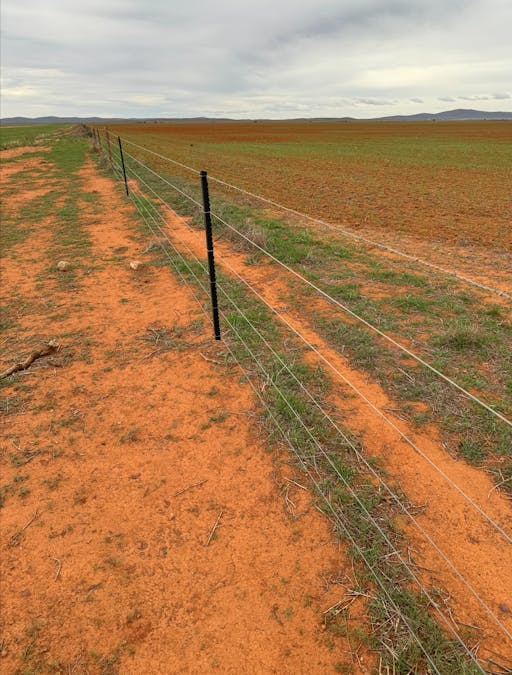 Hammond Road, Amyton, SA, 5431 - Image 7