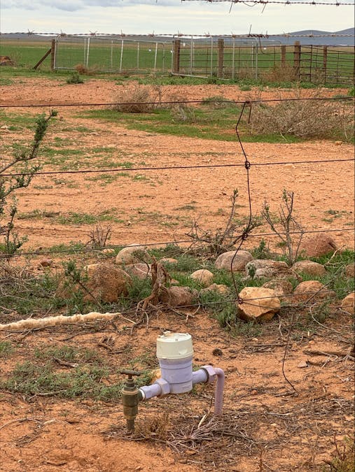Hammond Road, Amyton, SA, 5431 - Image 8