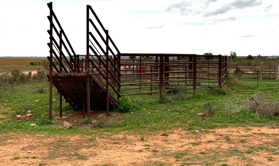 Hammond Road, Amyton, SA, 5431 - Image 6