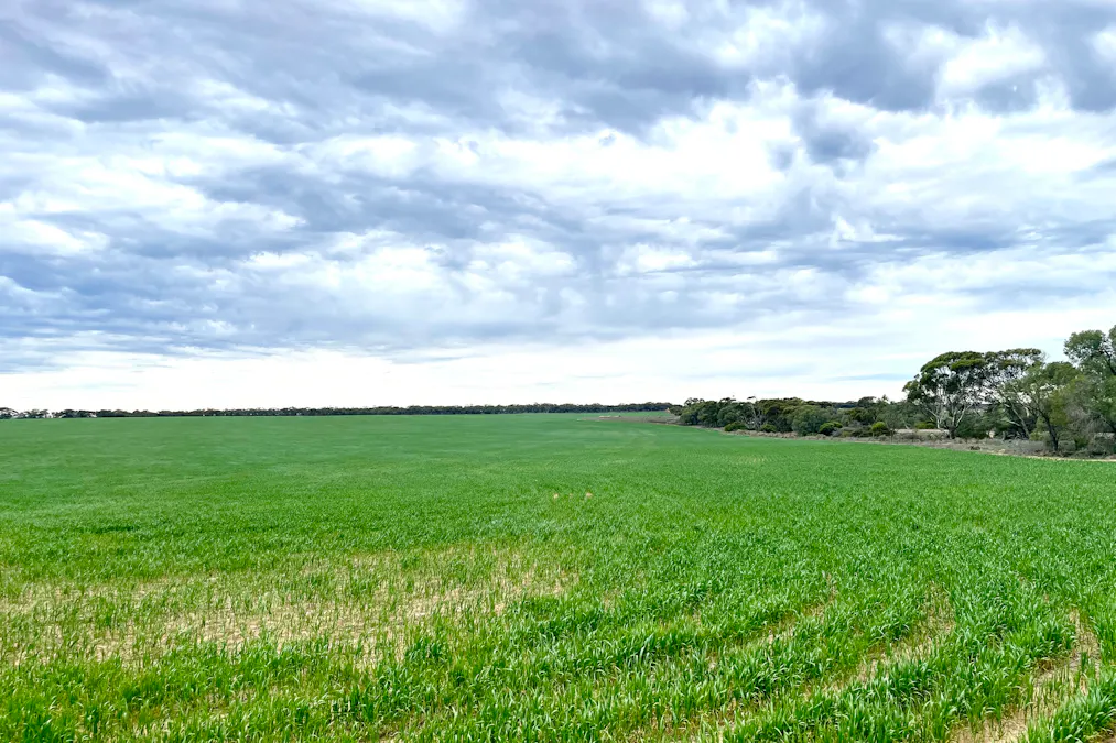 Lot 41 Eyre Highway, Pimbaacla, SA, 5661 - Image 8