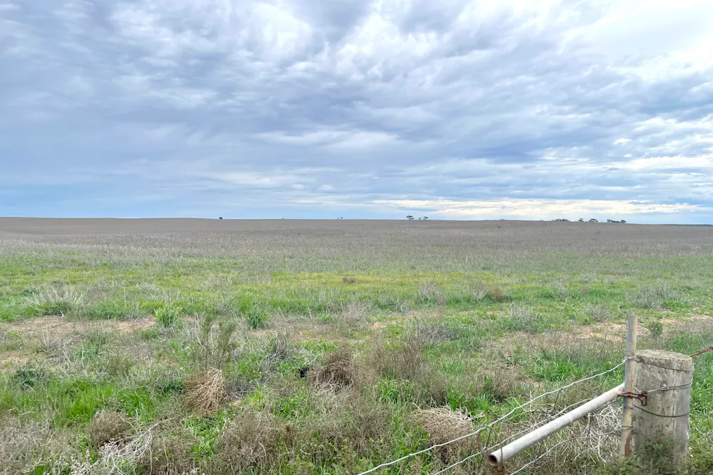 Lot 41 Eyre Highway, Pimbaacla, SA, 5661 - Image 9