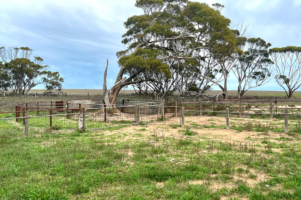 Lot 41 Eyre Highway, Pimbaacla, SA, 5661 - Image 3