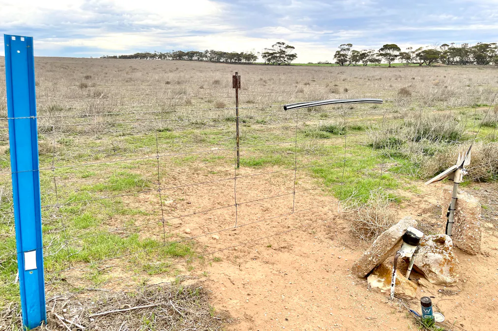 Lot 41 Eyre Highway, Pimbaacla, SA, 5661 - Image 14