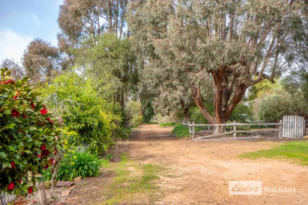 41 Ingoldby Street, Mount Barker, WA, 6324 - Image 2