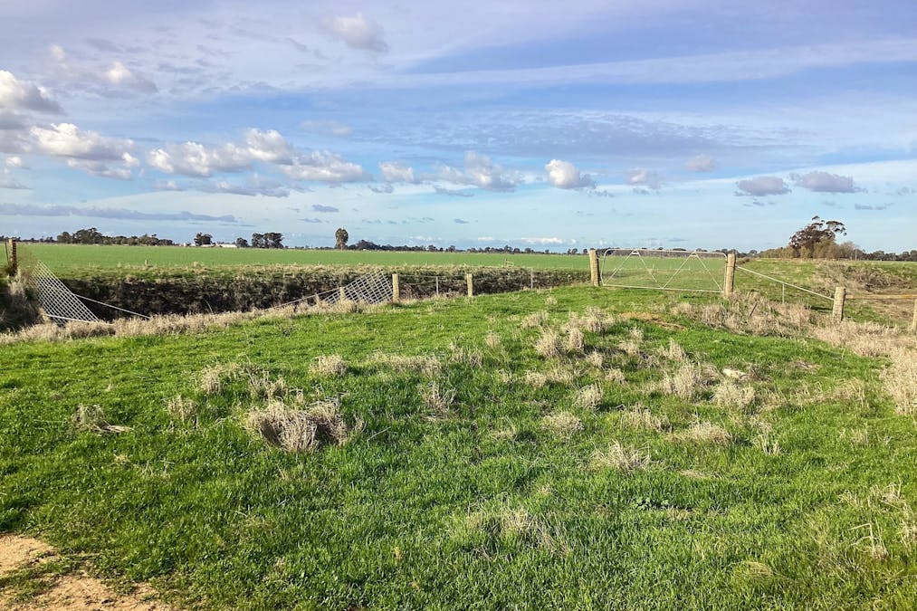460-552 Lower Finley Road, Finley, NSW, 2713 - Image 17