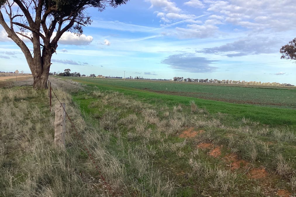 460-552 Lower Finley Road, Finley, NSW, 2713 - Image 19