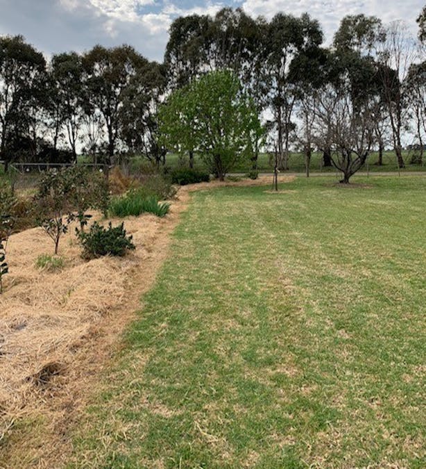 460-552 Lower Finley Road, Finley, NSW, 2713 - Image 6