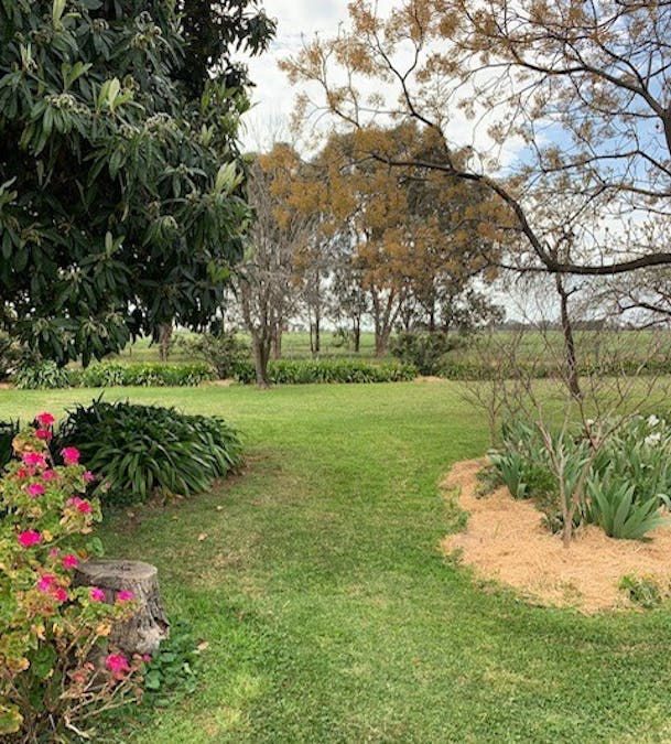 460-552 Lower Finley Road, Finley, NSW, 2713 - Image 8