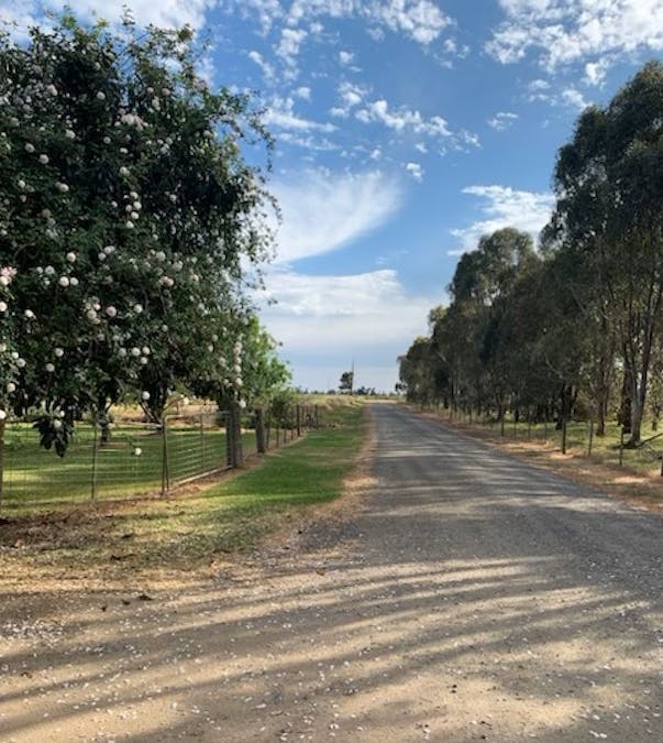 460-552 Lower Finley Road, Finley, NSW, 2713 - Image 20