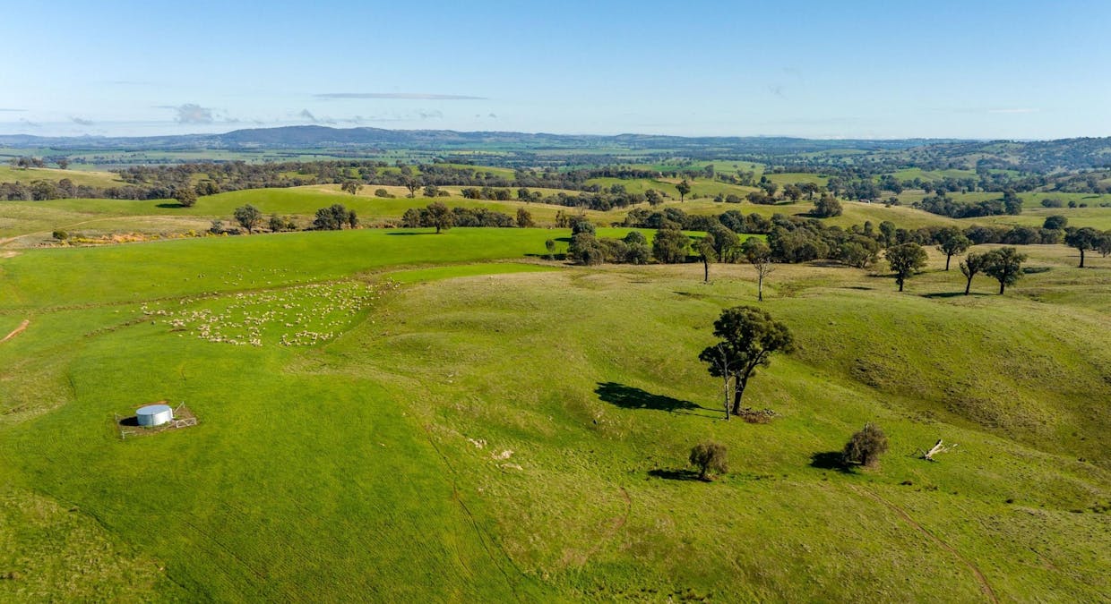 7740 Tumbarumba Road, Wagga Wagga, NSW, 2650 - Image 19