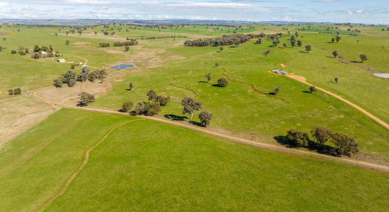 7740 Tumbarumba Road, Wagga Wagga, NSW, 2650 - Image 32