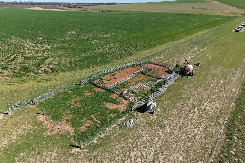 Quairading South Road, Dangin, WA, 6383 - Image 14