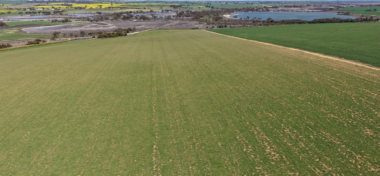 Quairading South Road, Dangin, WA, 6383 - Image 18