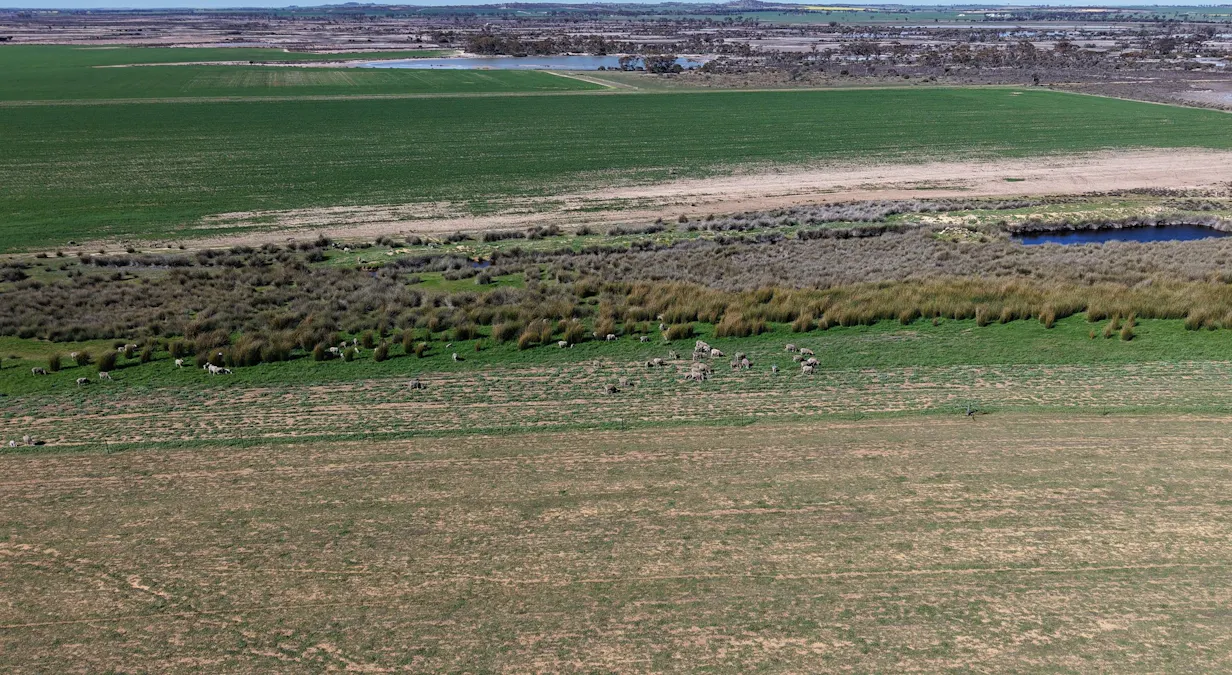 Quairading South Road, Dangin, WA, 6383 - Image 20