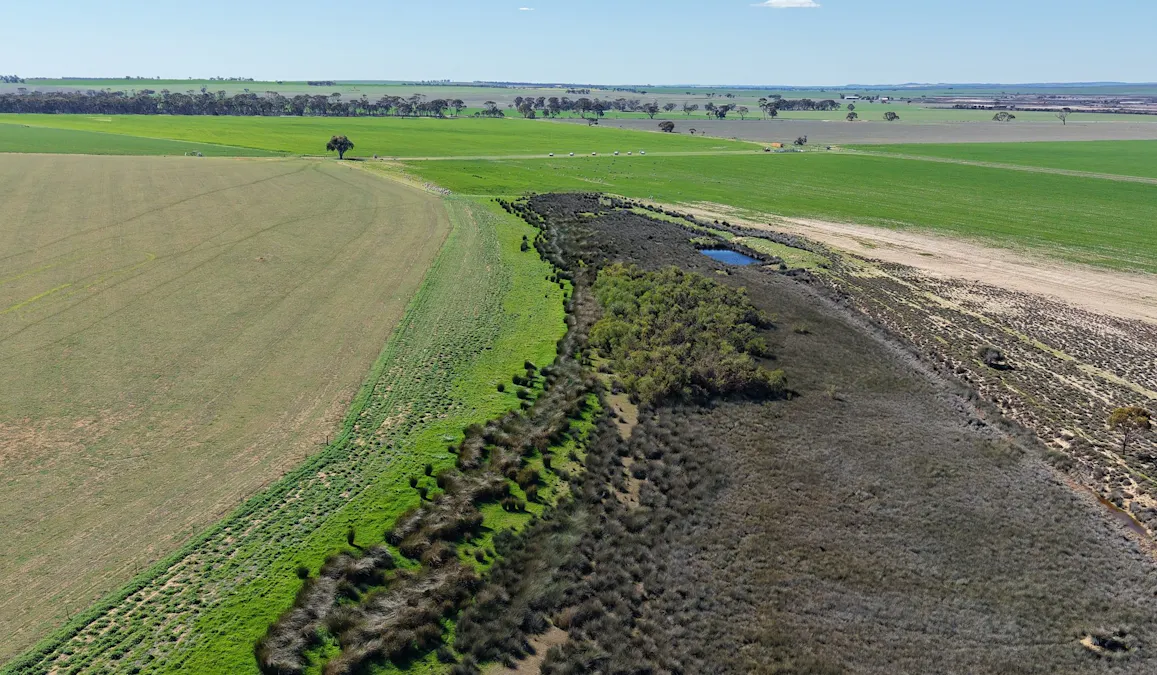 Quairading South Road, Dangin, WA, 6383 - Image 22