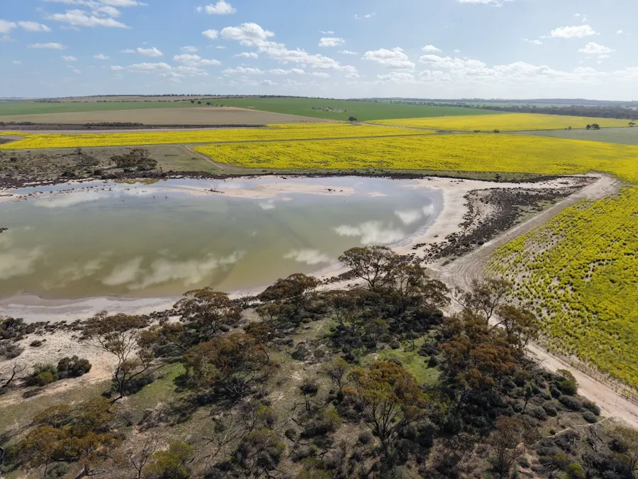 Quairading South Road, Dangin, WA, 6383 - Image 27