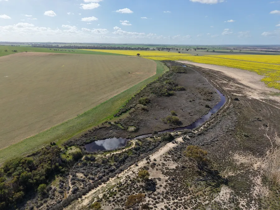 Quairading South Road, Dangin, WA, 6383 - Image 28