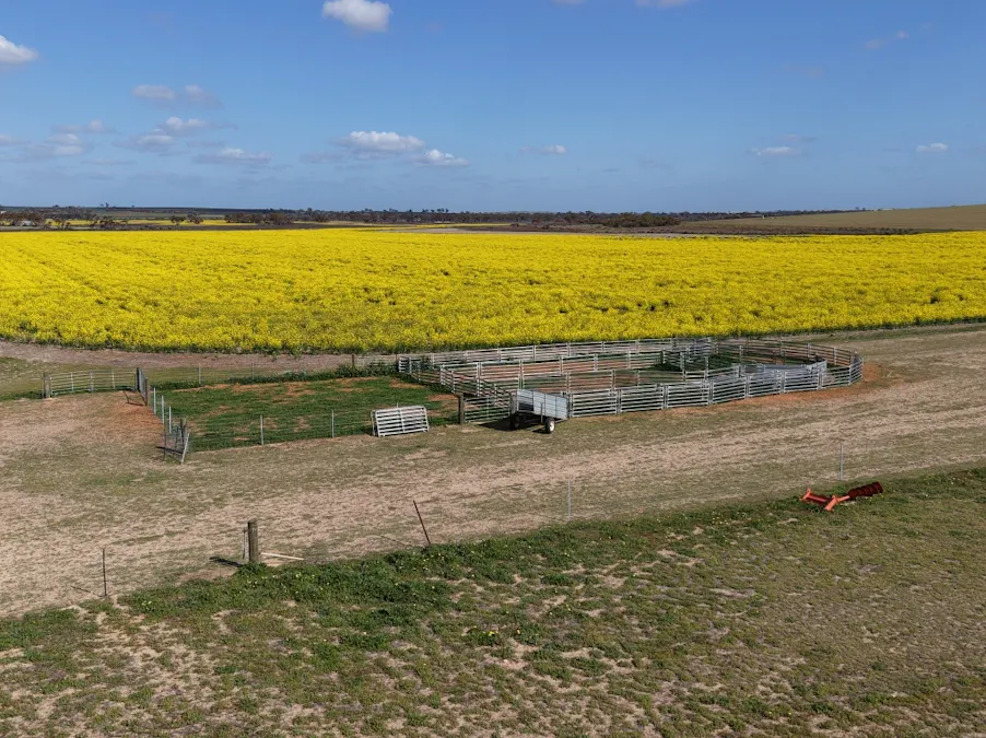 Quairading South Road, Dangin, WA, 6383 - Image 29