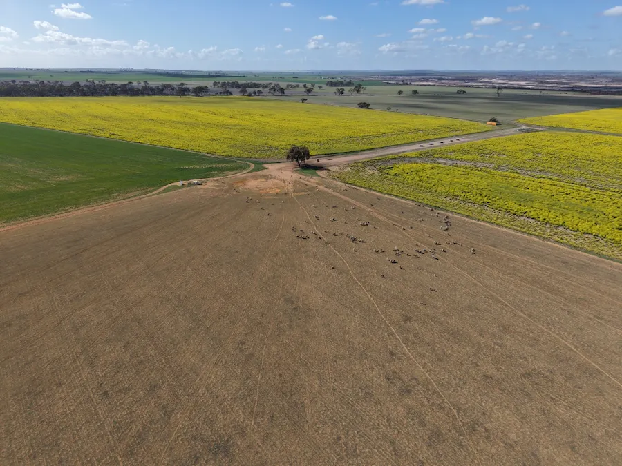 Quairading South Road, Dangin, WA, 6383 - Image 30