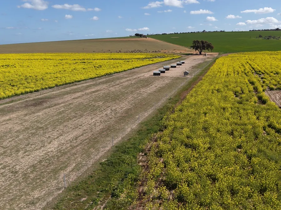 Quairading South Road, Dangin, WA, 6383 - Image 32