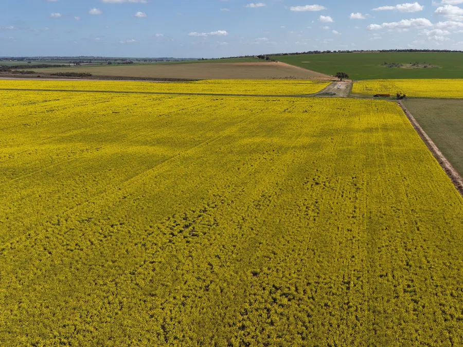 Quairading South Road, Dangin, WA, 6383 - Image 33