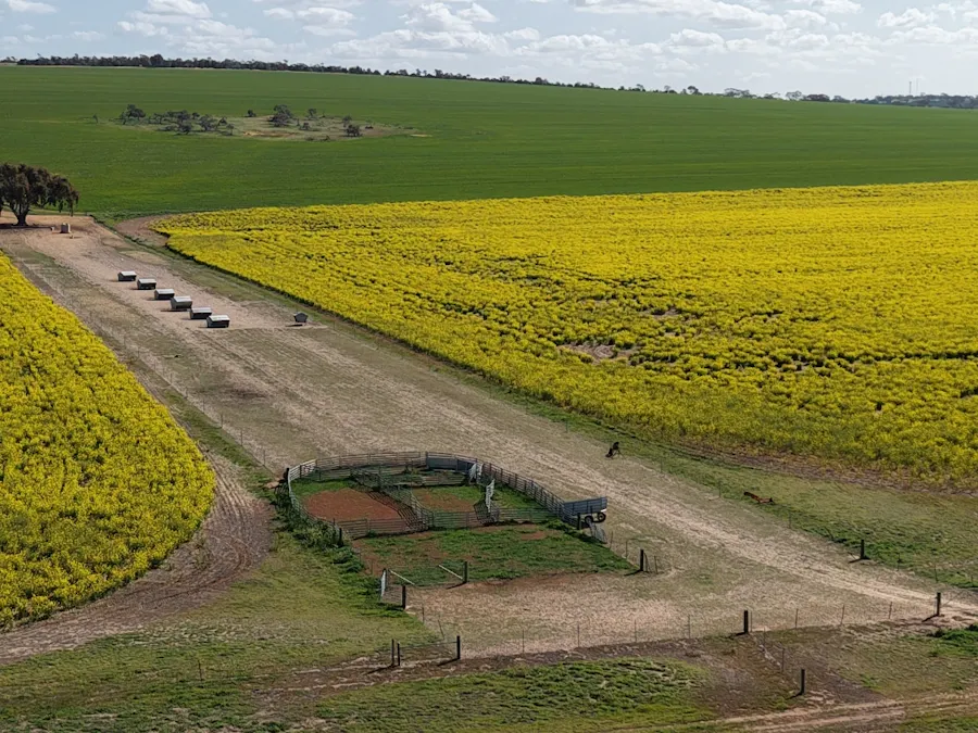 Quairading South Road, Dangin, WA, 6383 - Image 35