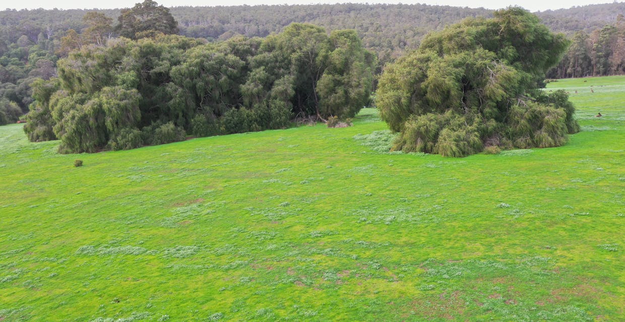 110 South Road, Wellington Mill, WA, 6236 - Image 14