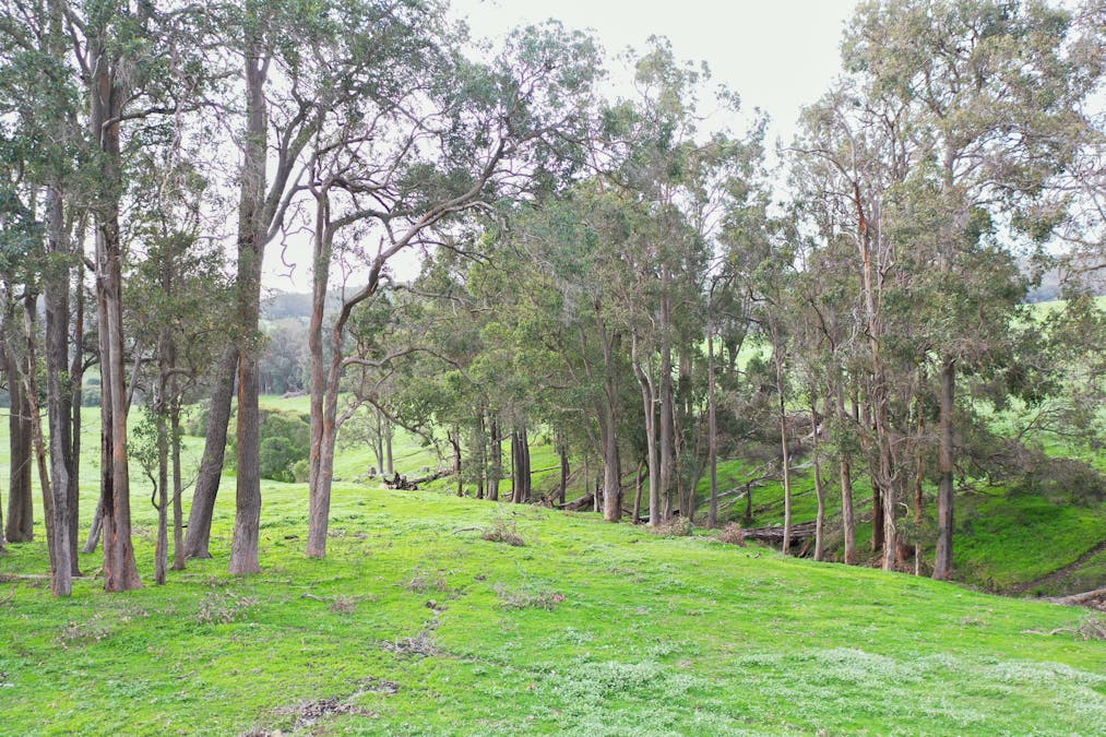 110 South Road, Wellington Mill, WA, 6236 - Image 11
