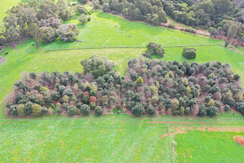110 South Road, Wellington Mill, WA, 6236 - Image 13