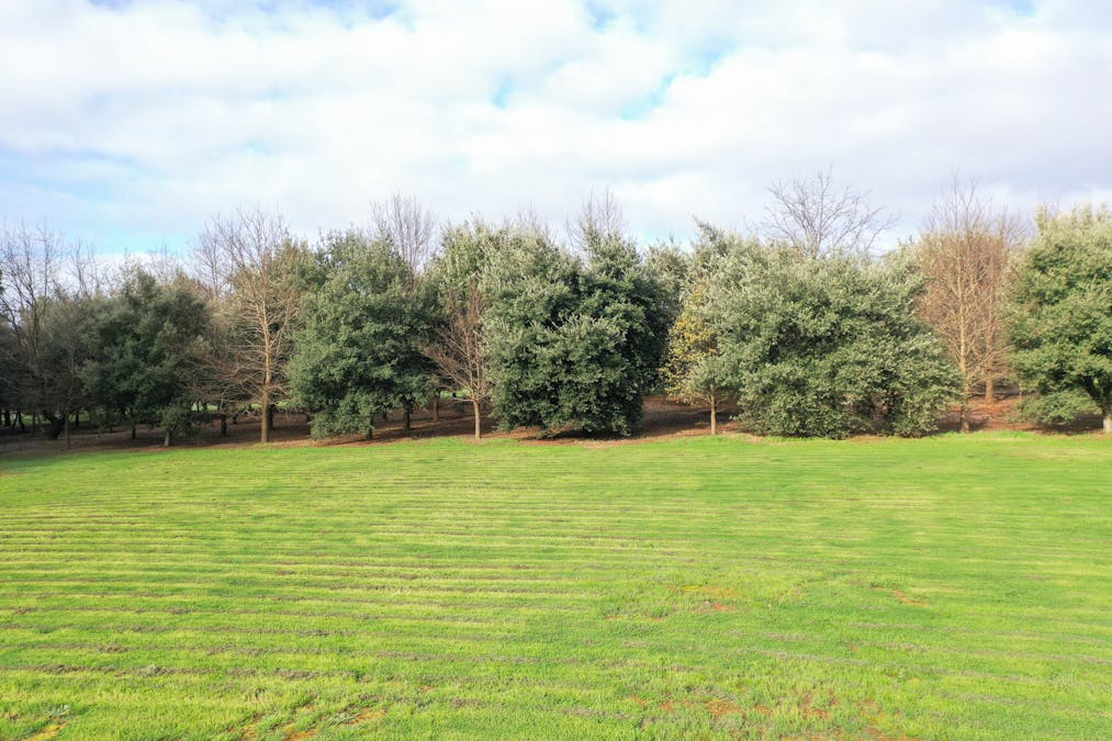 110 South Road, Wellington Mill, WA, 6236 - Image 16
