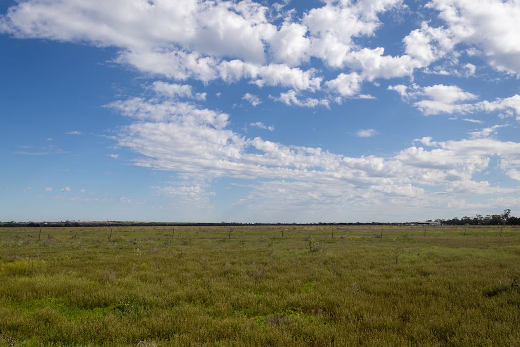 135 Samphire Road, Hines Hill, WA, 6413 - Image 9