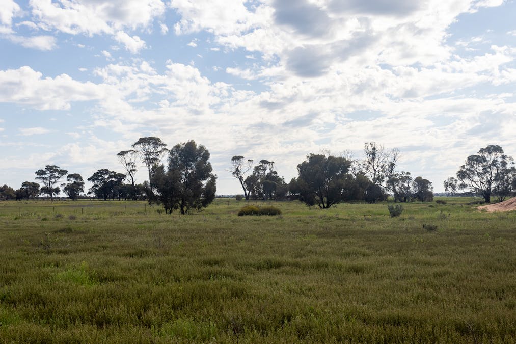 135 Samphire Road, Hines Hill, WA, 6413 - Image 10