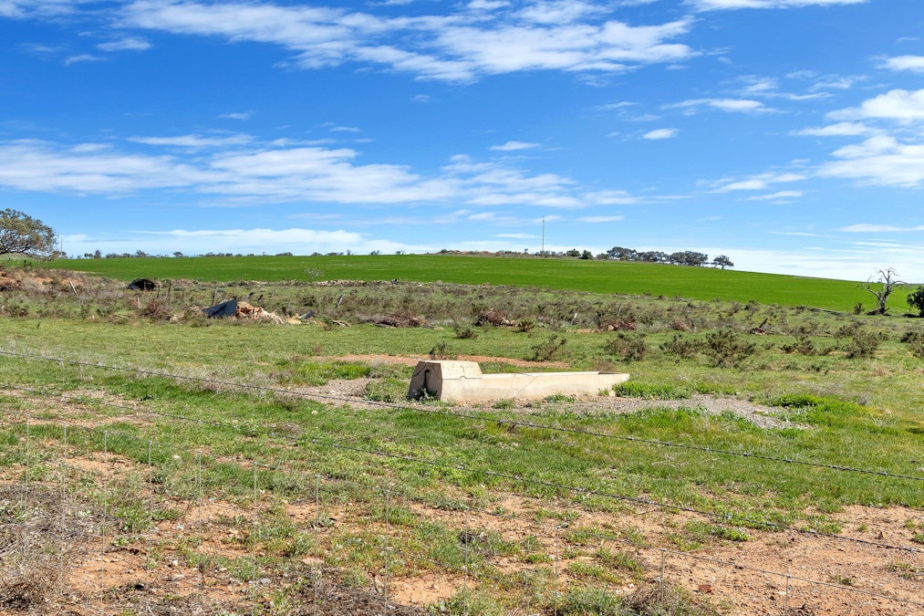 929 Plains Road, Australia Plains, SA, 5374 - Image 23