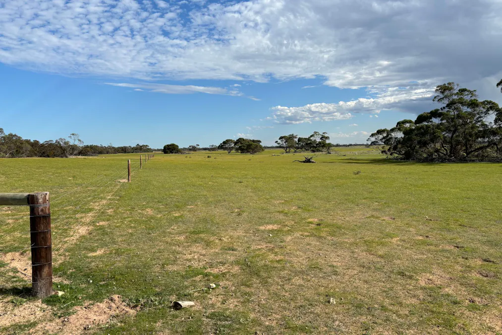 Lot 52 Larne Drive, Mount Wedge, SA, 5670 - Image 22