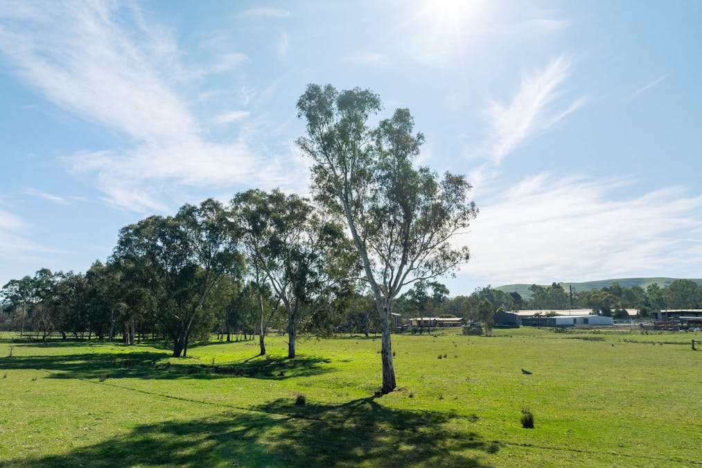 1 P/S/ 2456 Goulburn Valley Highway, Alexandra, VIC, 3714 - Image 13