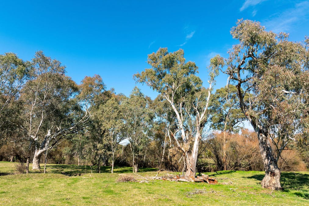 1 P/S/ 2456 Goulburn Valley Highway, Alexandra, VIC, 3714 - Image 17