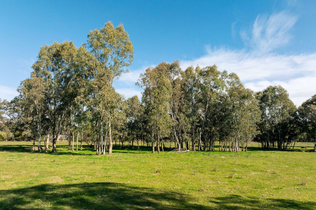 1 P/S/ 2456 Goulburn Valley Highway, Alexandra, VIC, 3714 - Image 21