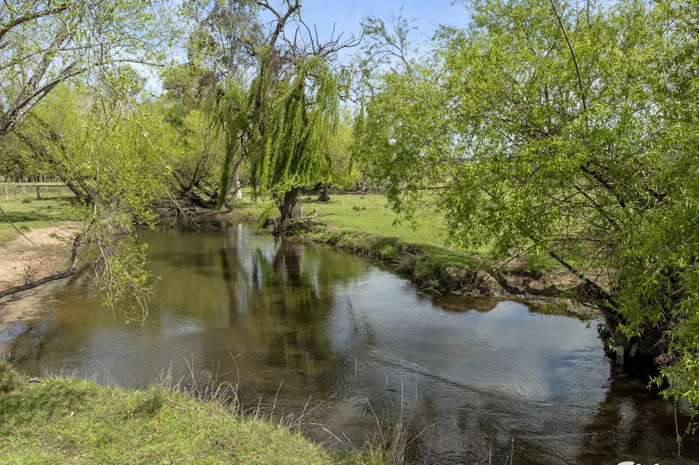 674 Euroa-Strathbogie Road, Euroa, VIC, 3666 - Image 5