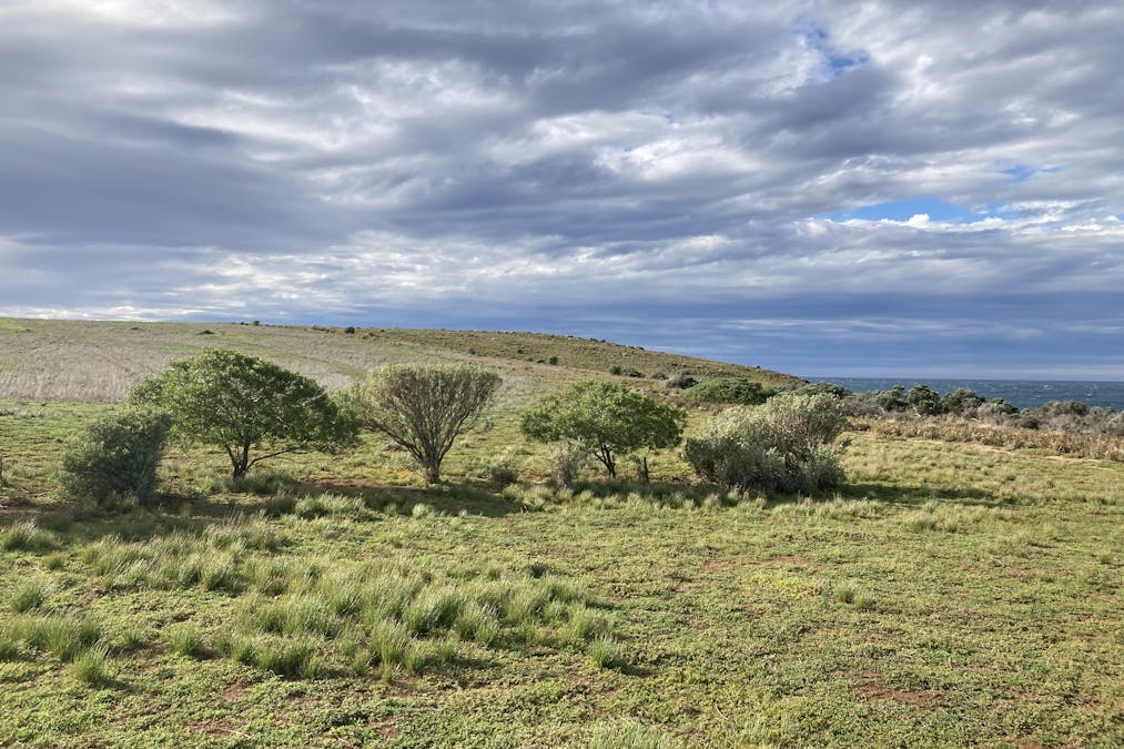 9/Coast Road, Lipson, SA, 5607 - Image 13
