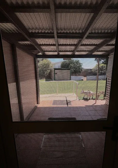 8 Pincombe Street, South Carnarvon, WA, 6701 - Image 19