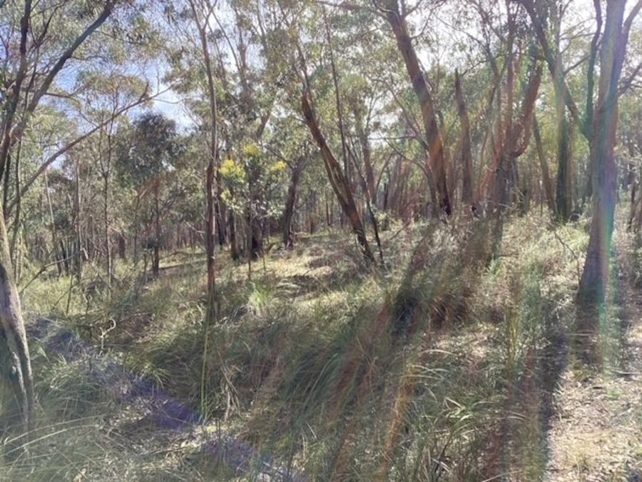 Lot 14B Spearys Road, Dereel, VIC, 3352 - Image 7