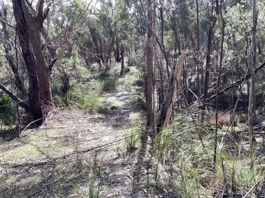 Lot 14B Spearys Road, Dereel, VIC, 3352 - Image 4