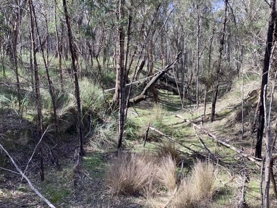 Lot 14B Spearys Road, Dereel, VIC, 3352 - Image 5