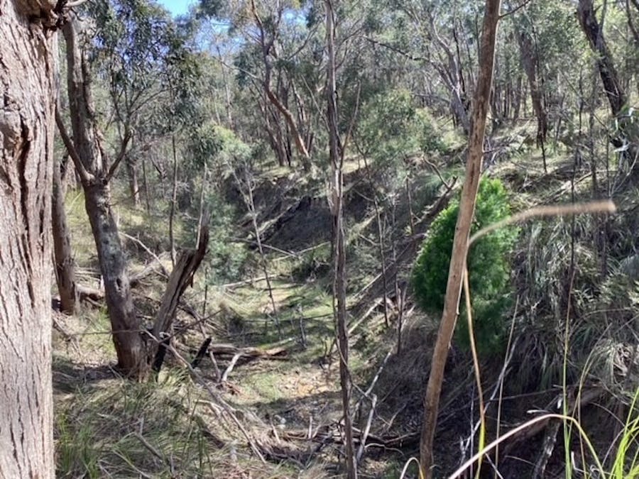 Lot 14B Spearys Road, Dereel, VIC, 3352 - Image 6