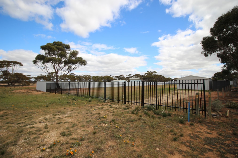 2/Albert Terrace, Loxton, SA, 5333 - Image 4