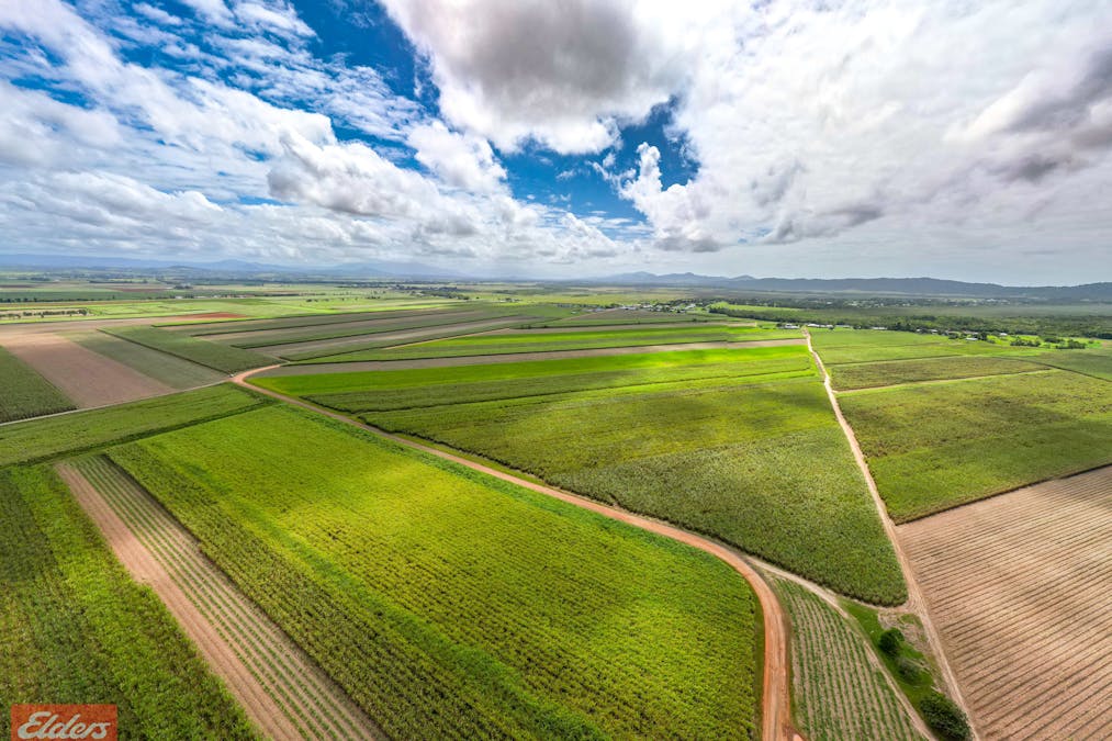 318 Mourilyan Harbour Road, Mourilyan, QLD, 4858 - Image 9