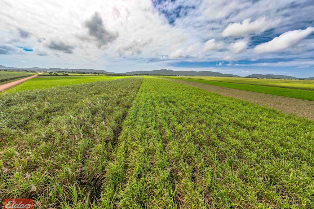 318 Mourilyan Harbour Road, Mourilyan, QLD, 4858 - Image 12