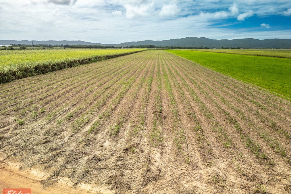 318 Mourilyan Harbour Road, Mourilyan, QLD, 4858 - Image 13