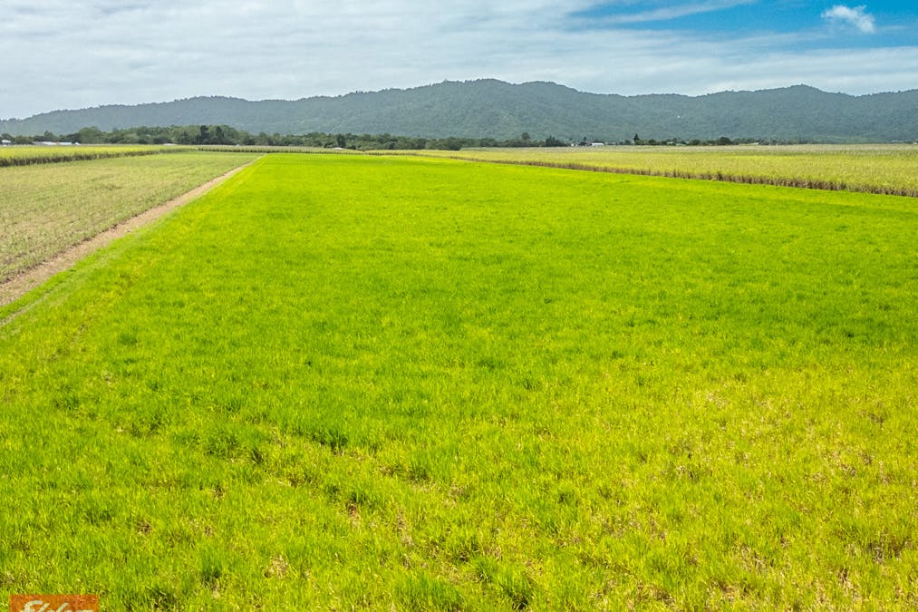 318 Mourilyan Harbour Road, Mourilyan, QLD, 4858 - Image 14